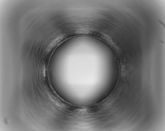 X0000102510068200808151557