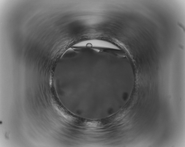 X0000102510069200808151557