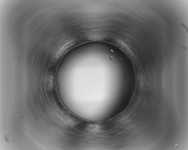 X0000102510071200808151557