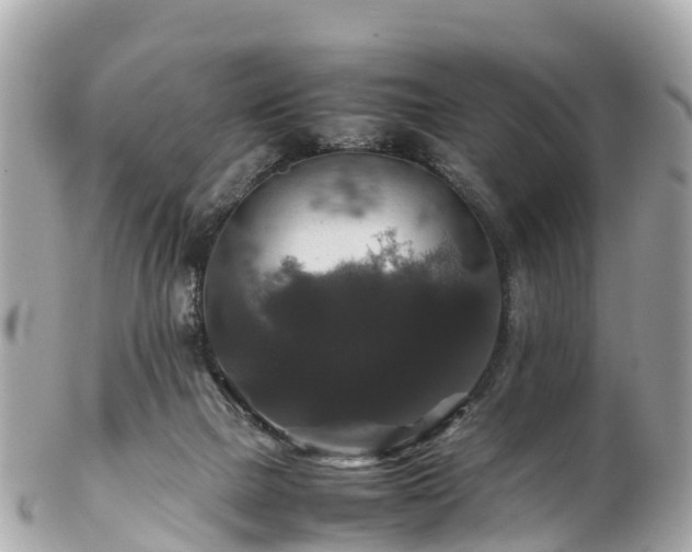 X0000102510073200808151557