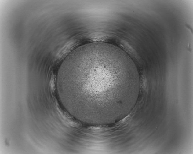 X0000102510074200808151557