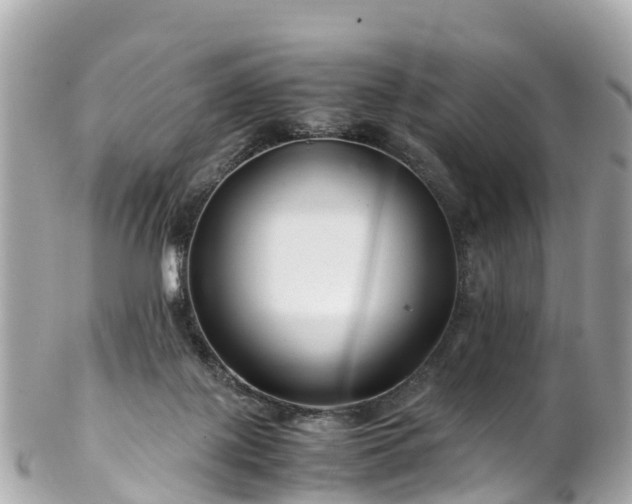 X0000102510075200808151557