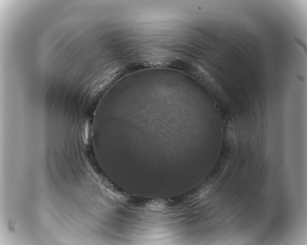 X0000102510076200808151557