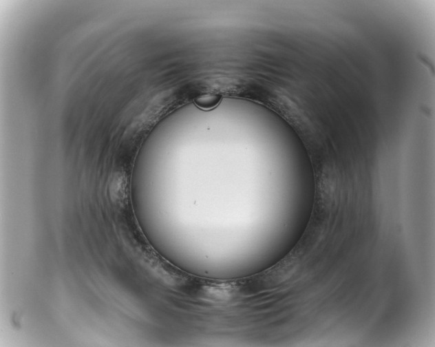 X0000102510079200808151557