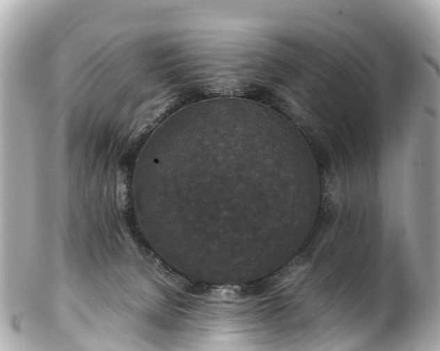 X0000102510080200808151557