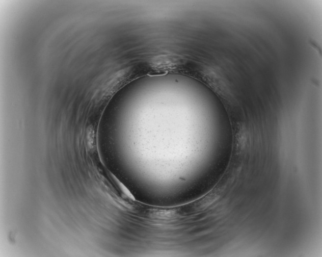 X0000102510081200808151557