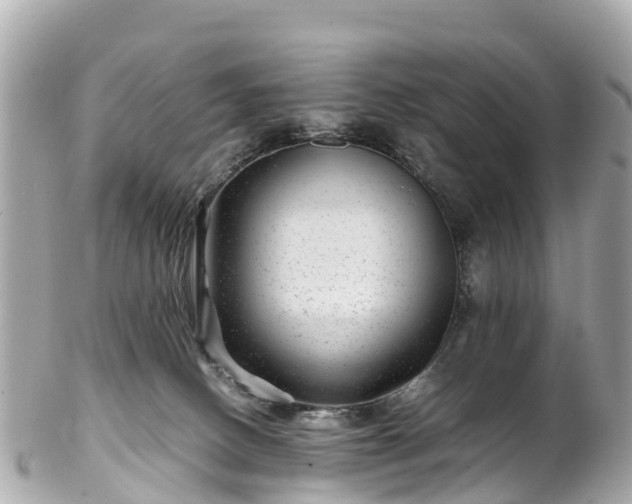 X0000102510082200808151557