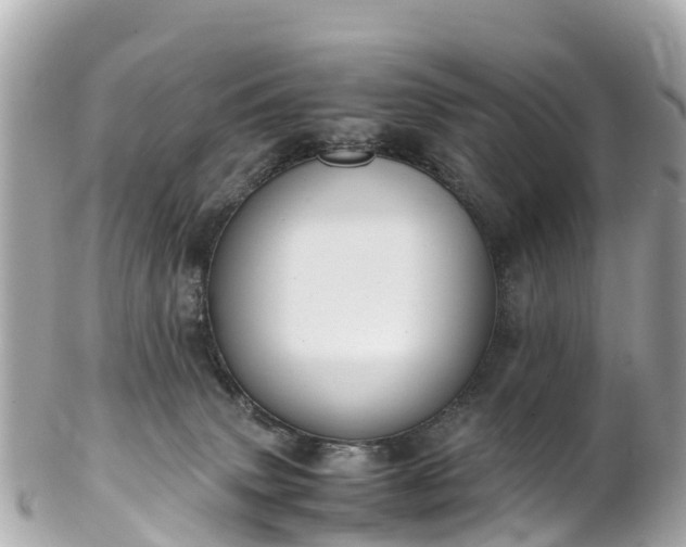 X0000102510083200808151557