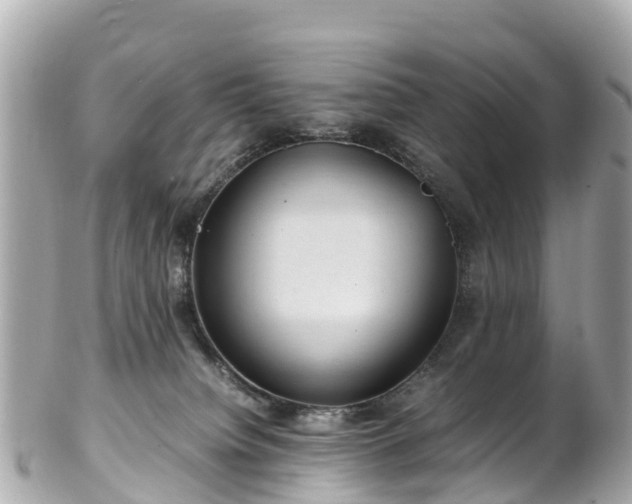 X0000102510084200808151557