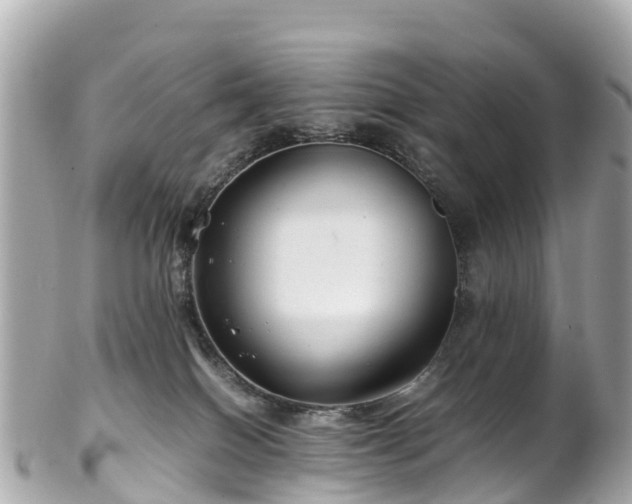 X0000102510086200808151557