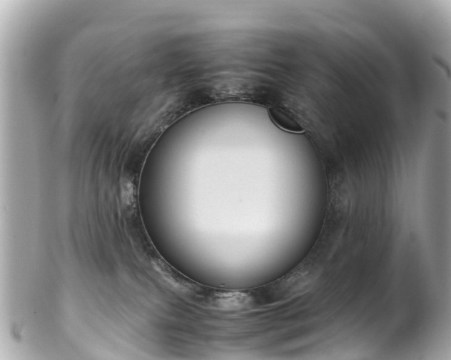 X0000102510087200808151557