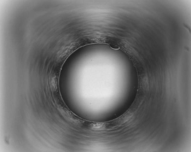 X0000102510088200808151557