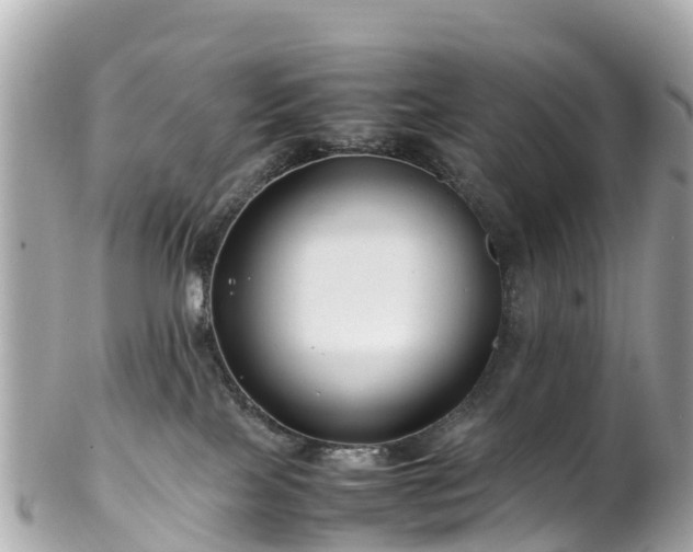 X0000102510089200808151557