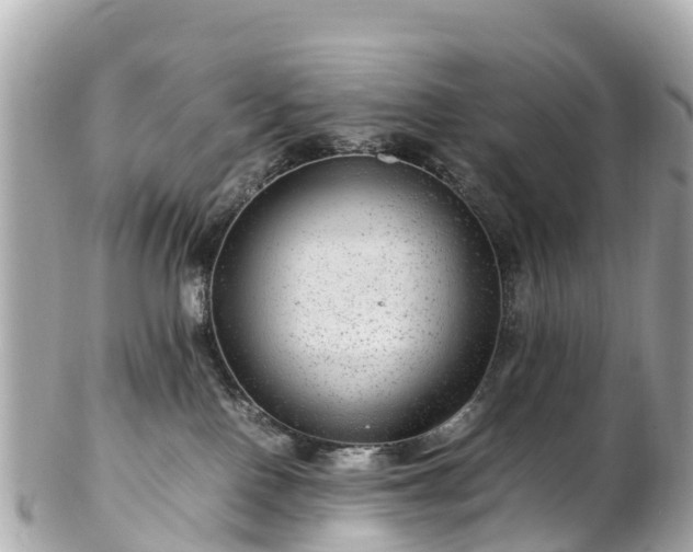X0000102510090200808151557