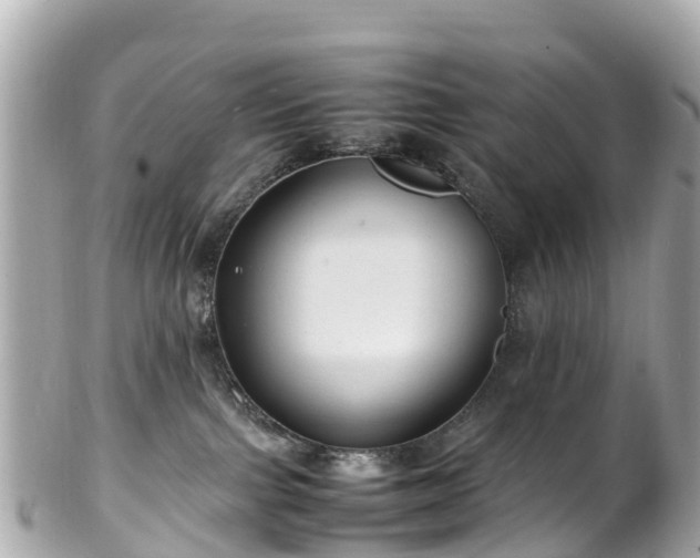X0000102510091200808151557