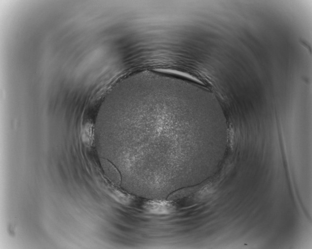 X0000102510093200808151557