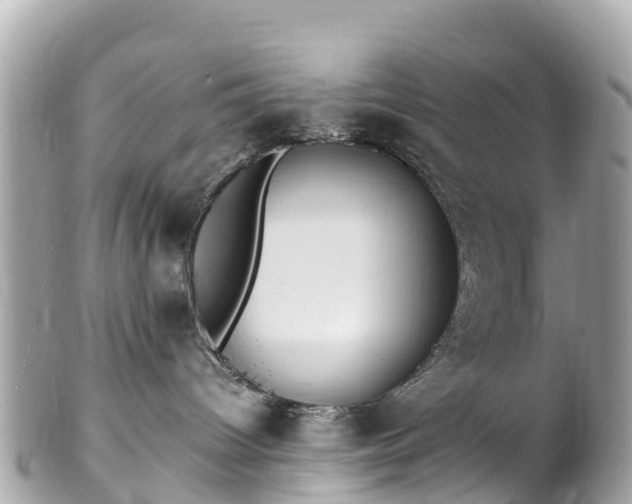 X0000102510096200808151557