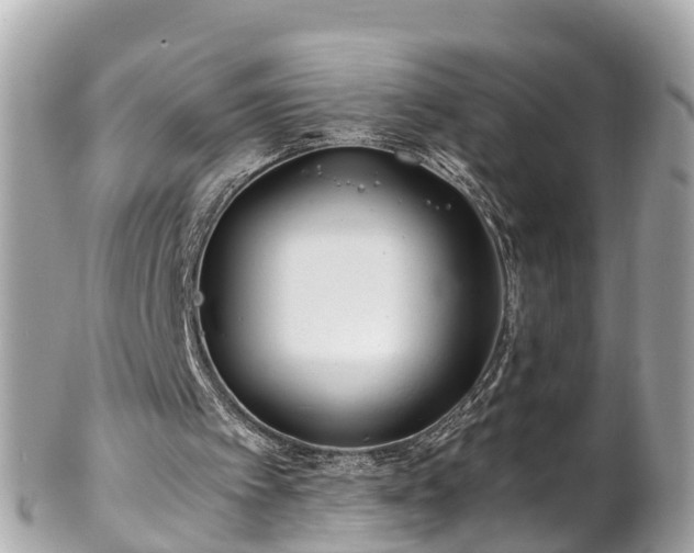 X0000102510097200808151557