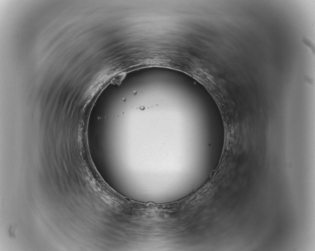 X0000102510098200808151557