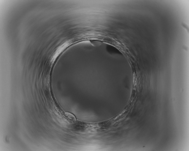 X0000102510099200808151557