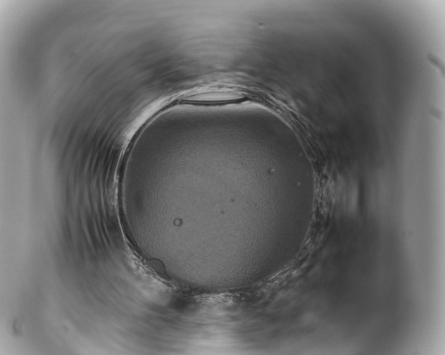X0000102510100200808151557