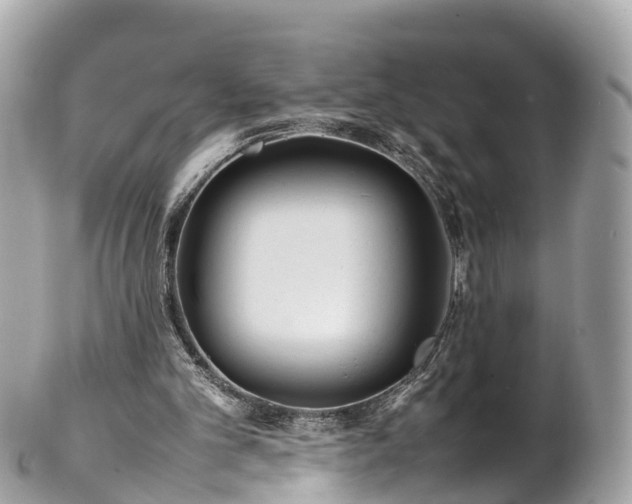 X0000102510101200808151557