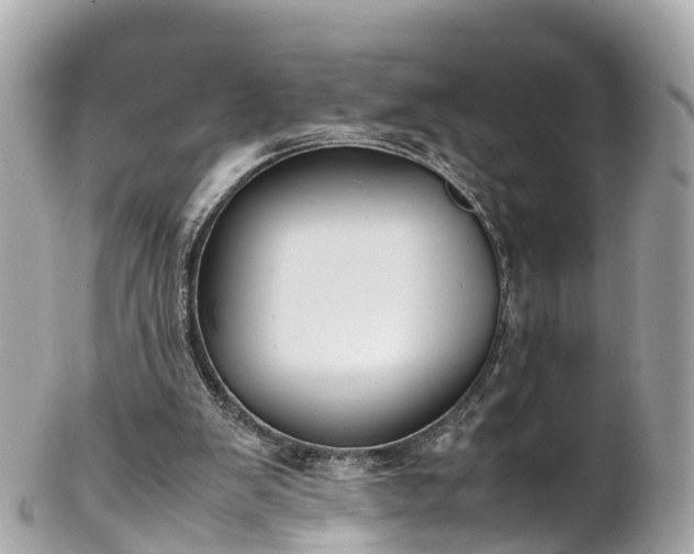 X0000102510103200808151557