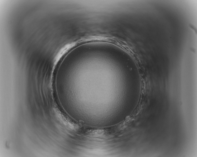 X0000102510104200808151557