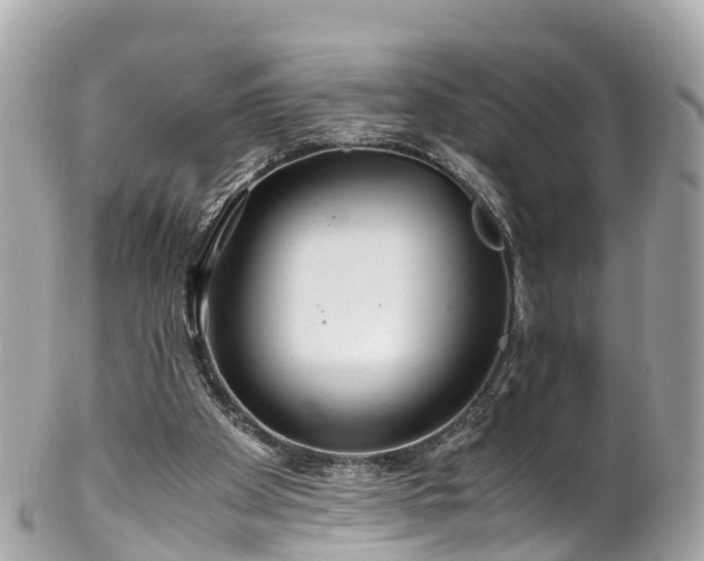 X0000102510105200808151557