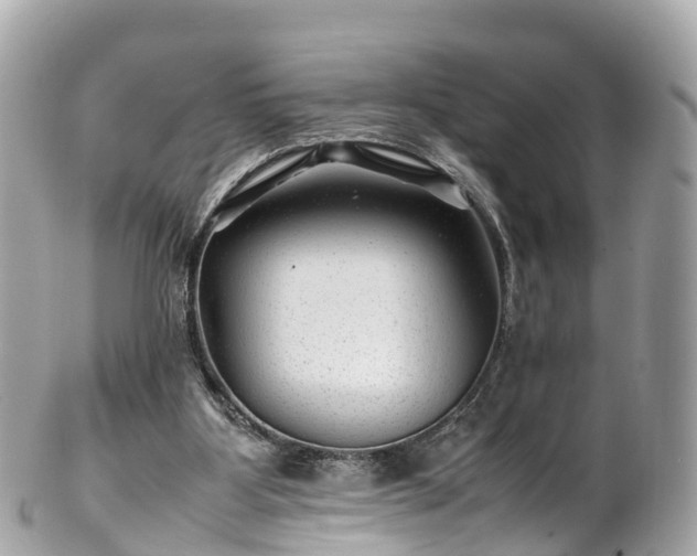 X0000102510107200808151557