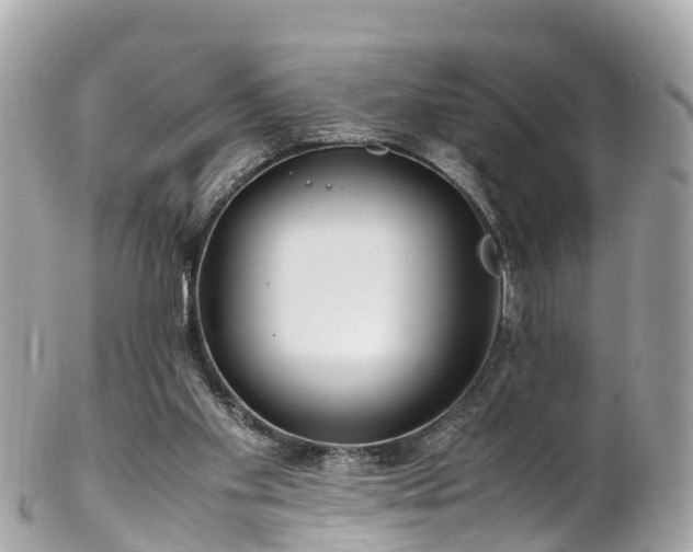 X0000102510109200808151557