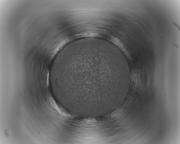 X0000102510110200808151556