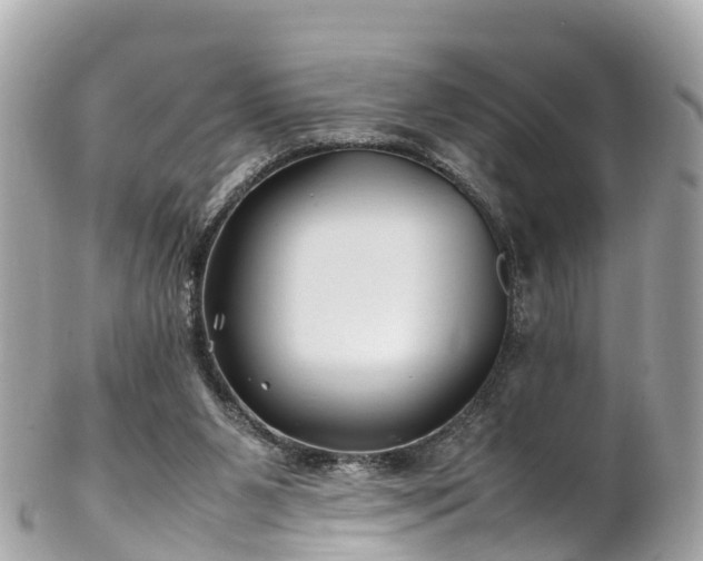 X0000102510111200808151556