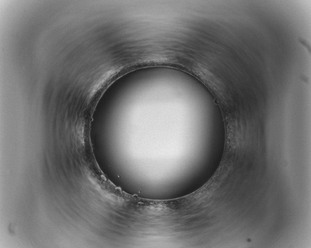 X0000102510112200808151556