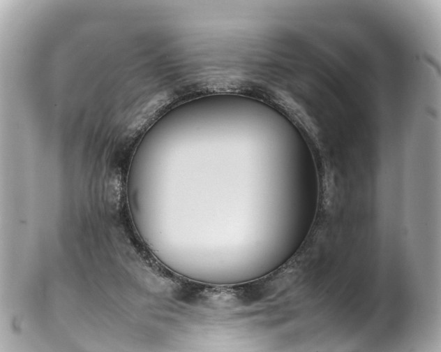 X0000102510113200808151556
