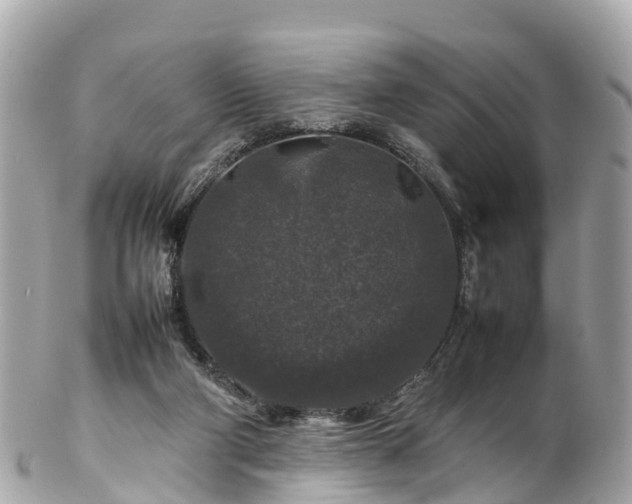 X0000102510114200808151556