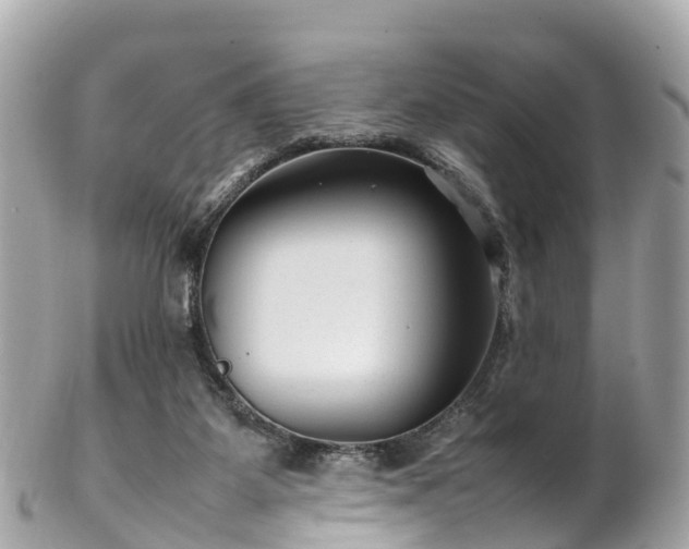 X0000102510115200808151556