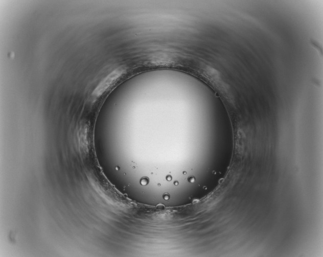 X0000102510116200808151556