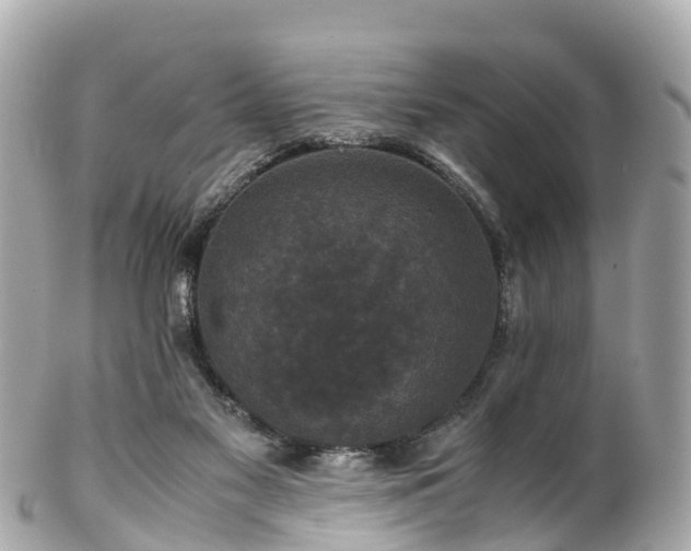 X0000102510117200808151556