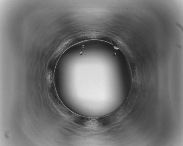 X0000102510119200808151556