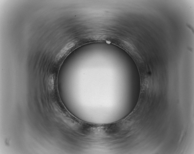 X0000102510120200808151556