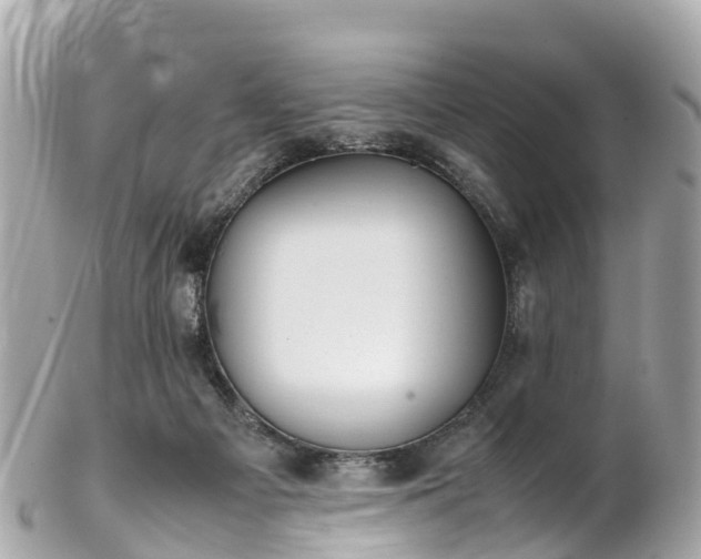 X0000102510121200808151556
