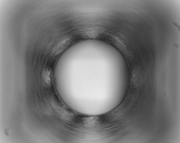 X0000102510122200808151556