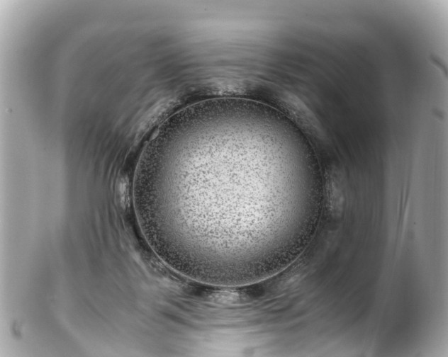 X0000102510123200808151556