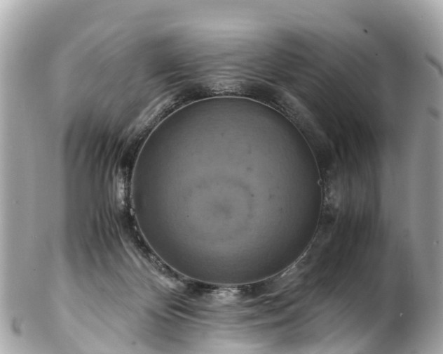 X0000102510124200808151556
