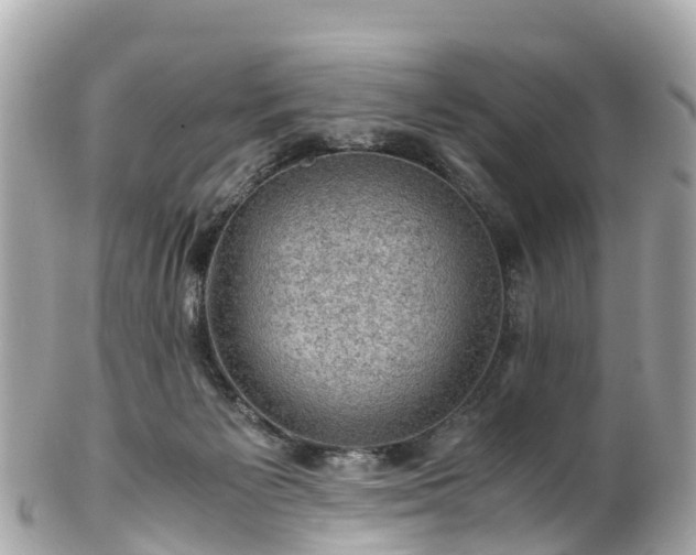 X0000102510125200808151556