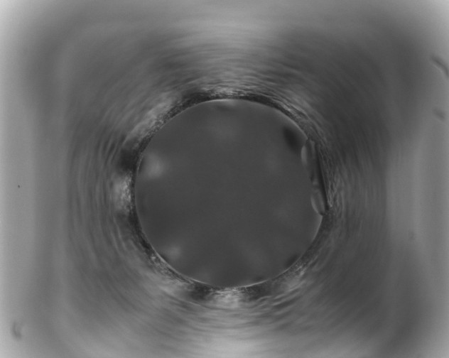 X0000102510127200808151556