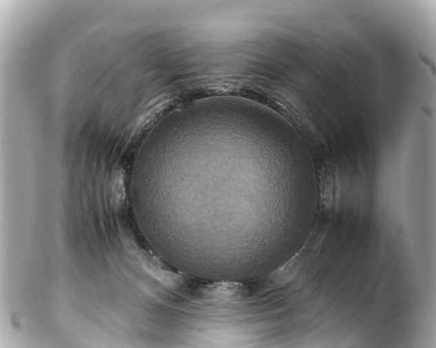 X0000102510128200808151556
