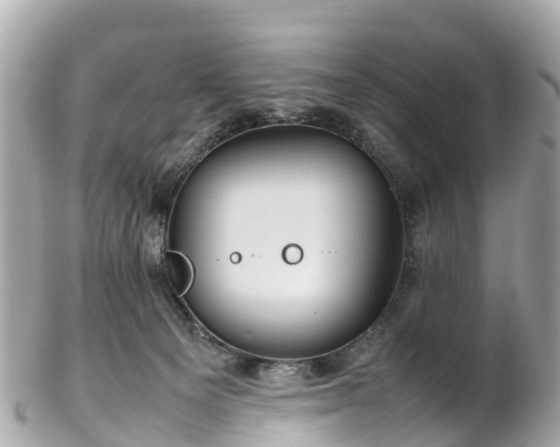 X0000102510129200808151556