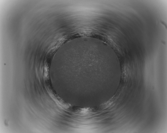 X0000102510130200808151556